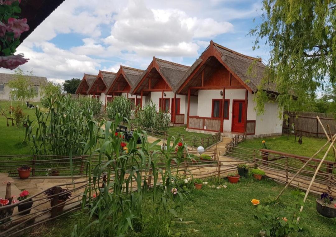 Pensiunea Clisciova Murighiol Exterior photo